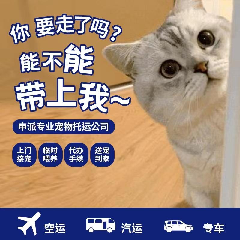 寵物(wù)如何坐(zuò)飛機:寵物(wù)進出境托運、檢疫代理(lǐ)